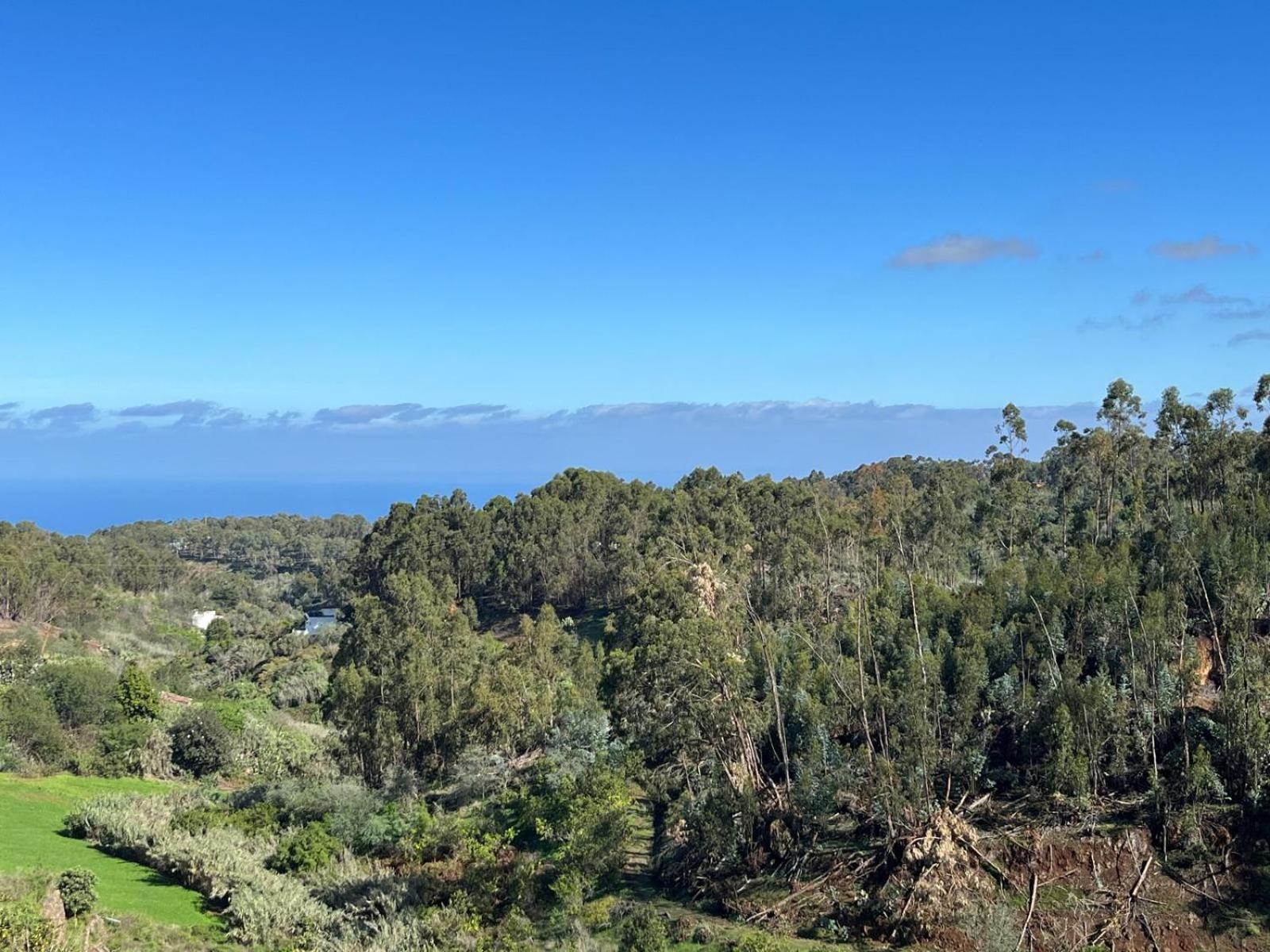 Tilos Betancor Apartment Moya (Gran Canaria)